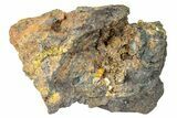 Orange Wulfenite Crystals On Matrix - Ojuela Mine, Mexico #239182-1